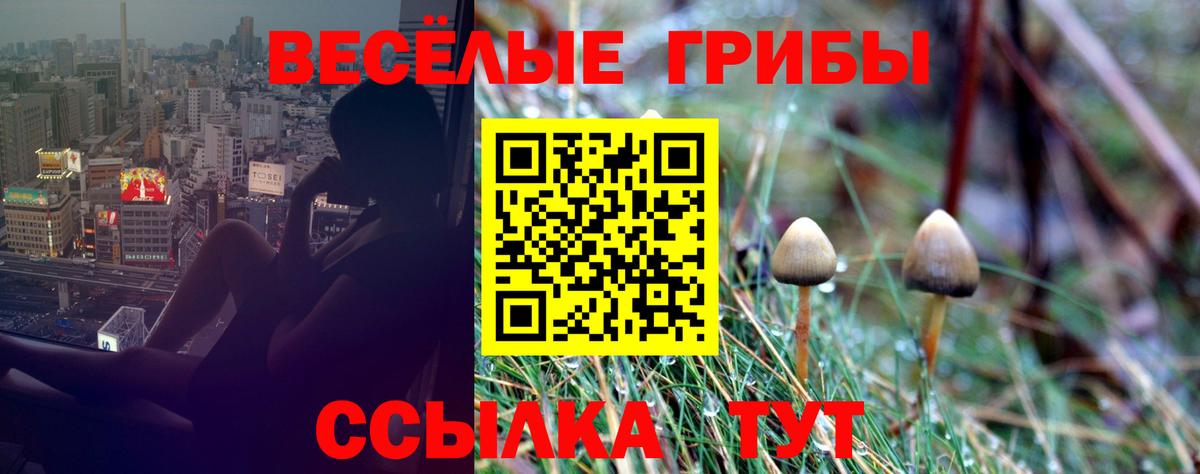 цена   Галлюциногенные грибы мицелий  Вход с VPN  Грязи 